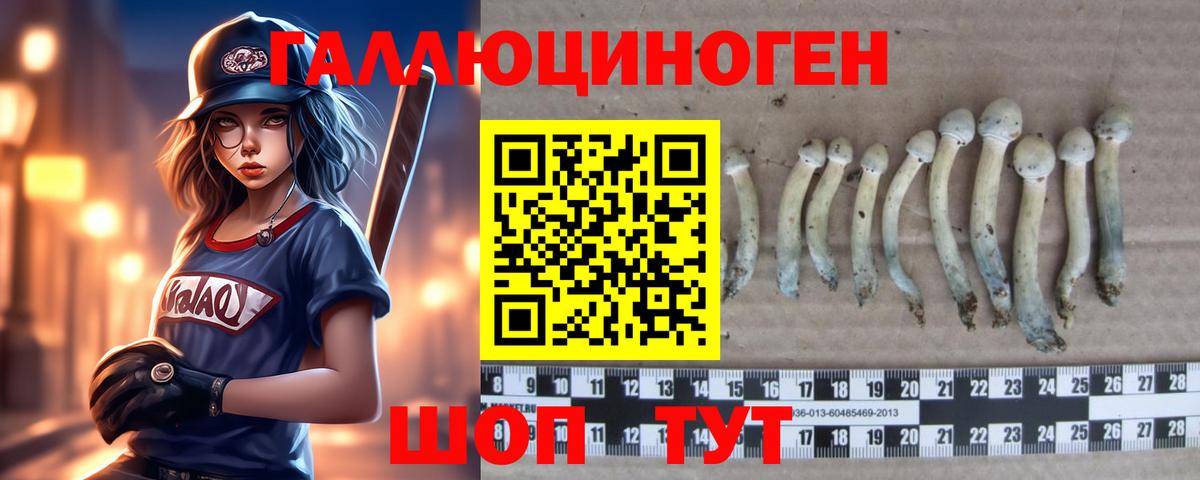 Псилоцибиновые грибы MAGIC MUSHROOMS  Вход с VPN  Волгодонск 
